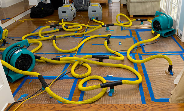 Professional Storm Water Damage Restoration technician working in Saint Stephen, SC